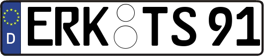 ERK-TS91