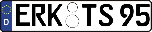 ERK-TS95