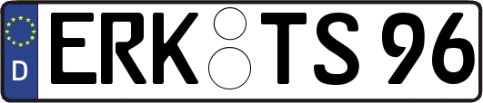 ERK-TS96