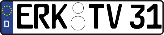 ERK-TV31