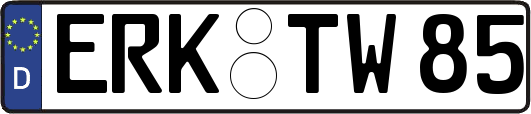 ERK-TW85