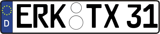 ERK-TX31