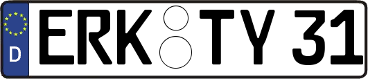 ERK-TY31
