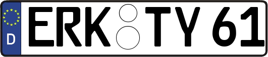 ERK-TY61