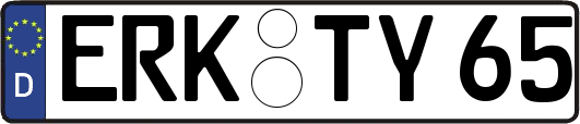 ERK-TY65
