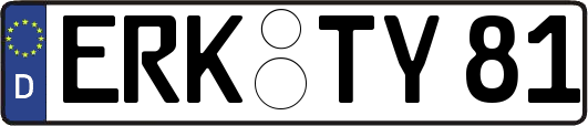 ERK-TY81