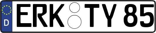 ERK-TY85
