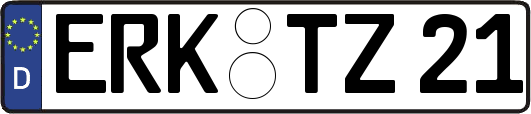 ERK-TZ21
