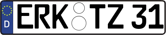 ERK-TZ31