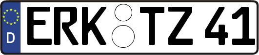 ERK-TZ41
