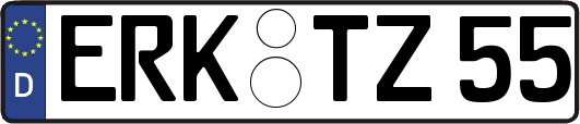 ERK-TZ55