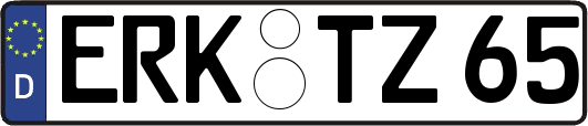 ERK-TZ65