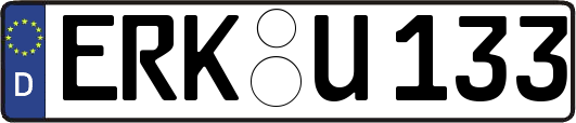 ERK-U133