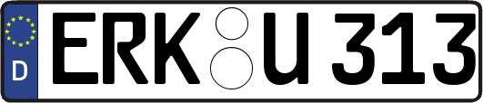 ERK-U313