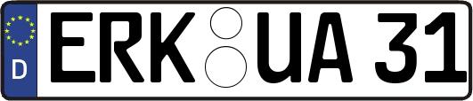 ERK-UA31