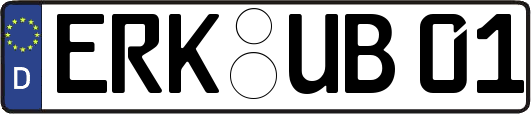 ERK-UB01