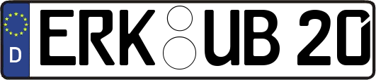 ERK-UB20