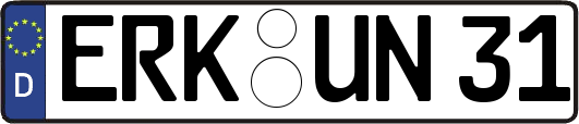 ERK-UN31