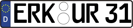 ERK-UR31