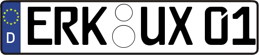 ERK-UX01