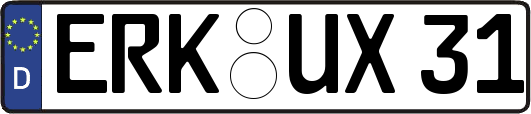 ERK-UX31