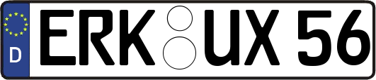 ERK-UX56