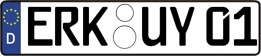 ERK-UY01