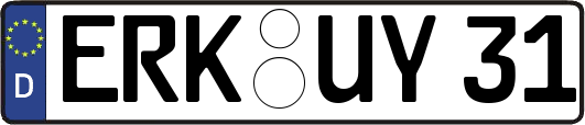 ERK-UY31