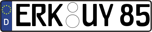 ERK-UY85