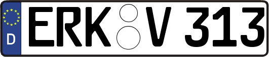 ERK-V313