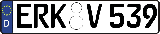 ERK-V539