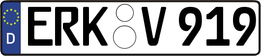 ERK-V919