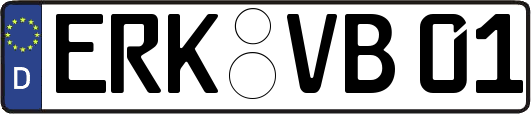 ERK-VB01