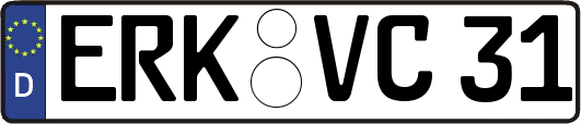 ERK-VC31