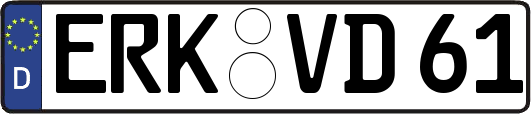 ERK-VD61