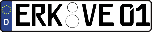 ERK-VE01