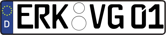 ERK-VG01