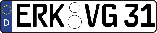 ERK-VG31