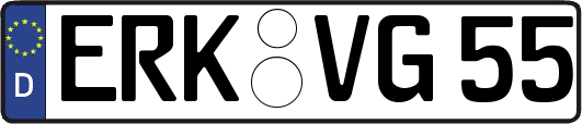 ERK-VG55