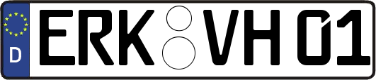 ERK-VH01