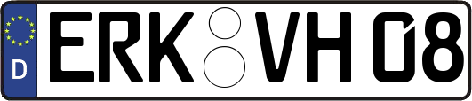 ERK-VH08