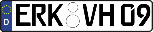 ERK-VH09