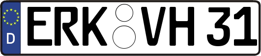 ERK-VH31