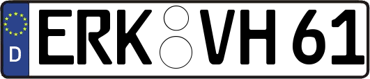 ERK-VH61