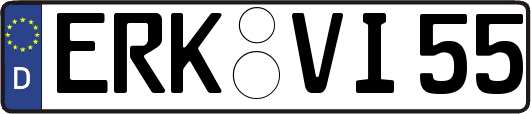 ERK-VI55