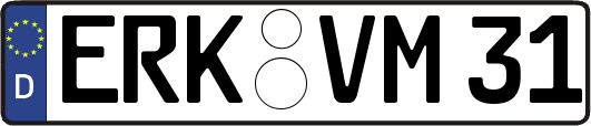 ERK-VM31