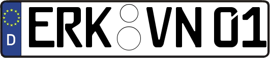 ERK-VN01