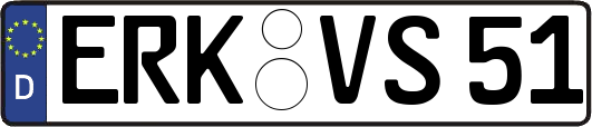 ERK-VS51