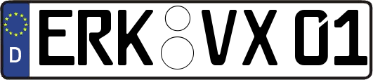 ERK-VX01