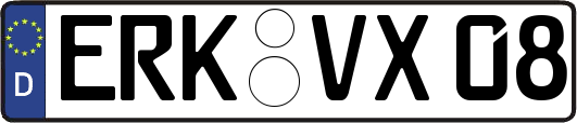ERK-VX08